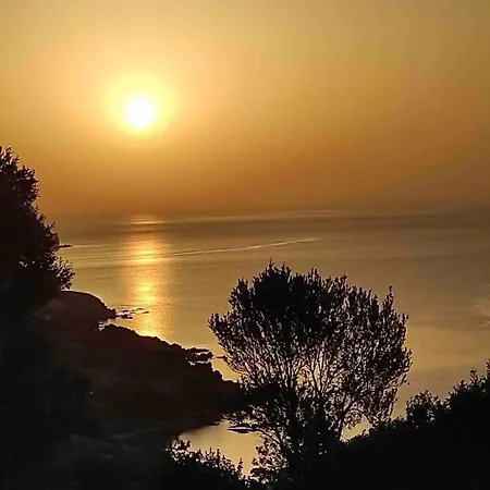 Summer Palace Evia Petriaí