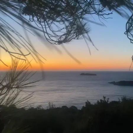 别墅 Summer Palace Evia *